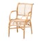 Bali & Pari Seminyak Modern Bohemian Natural Rattan Lounge Chair 235-13344-ZORO - alternate 1